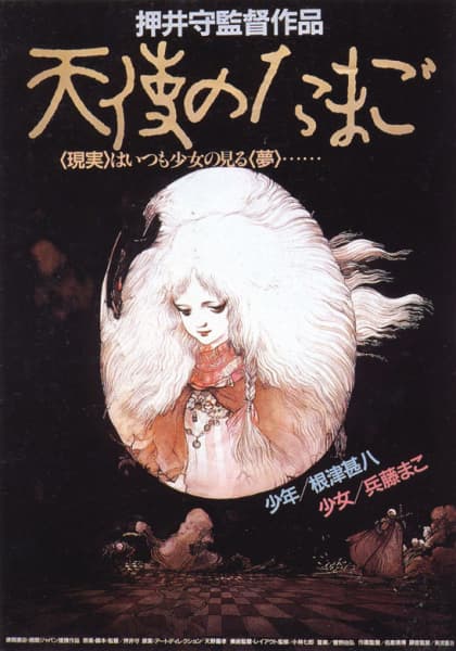 Picture of the author