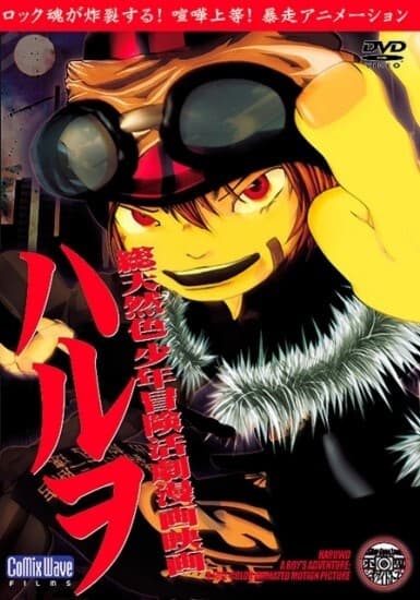 Picture of the author