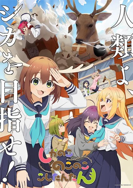 Picture of the author