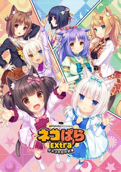 Picture of the author
