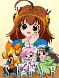 Picture of the author