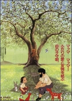 Picture of the author