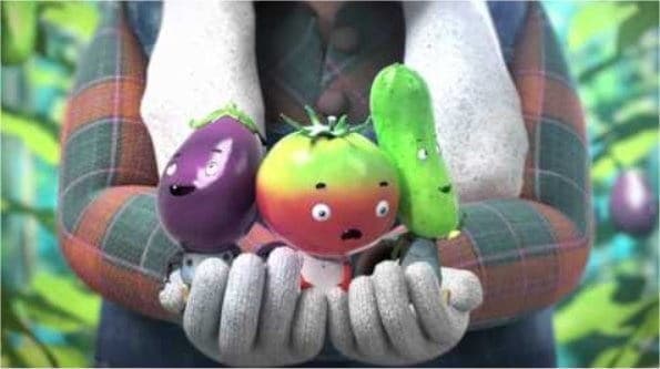 Picture of the author