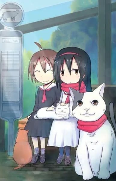 Picture of the author