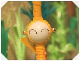 Picture of the author