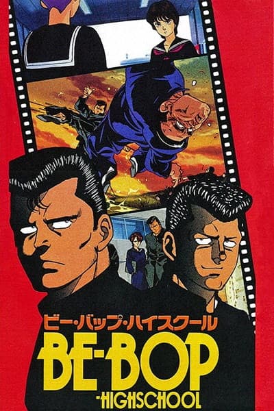 Picture of the author