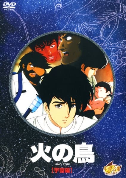 Picture of the author