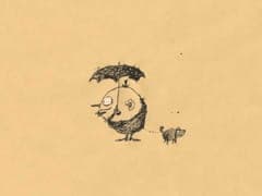 Picture of the author