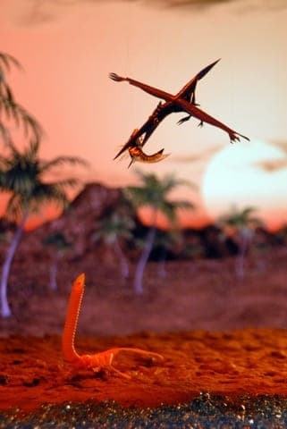 Picture of the author