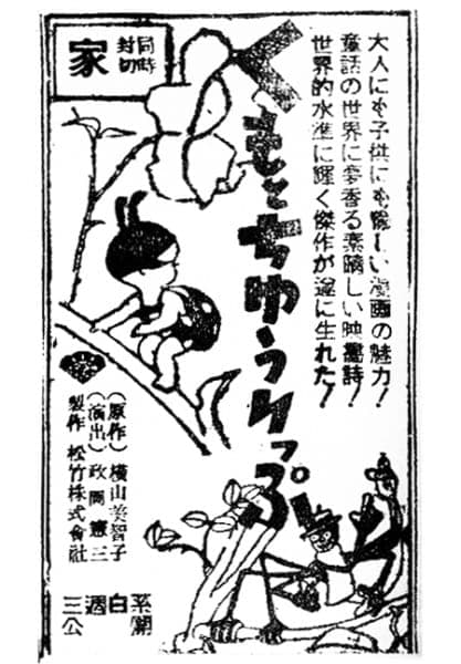 Picture of the author