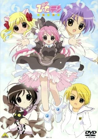 Picture of the author